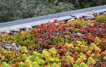 the cost of Rise Park green roof installation