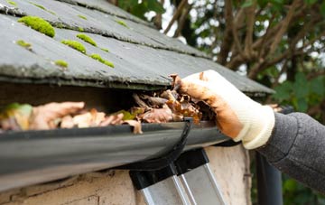 gutter cleaning Rise Park