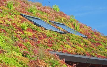 Rise Park living roof systems