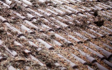 Rise Park roof cleaning companies