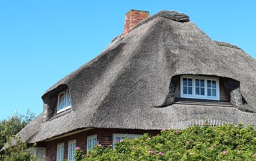 thatch roofing Rise Park